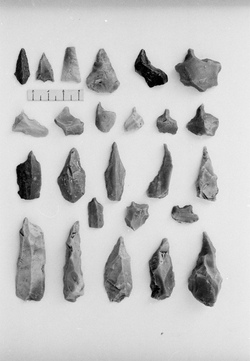 12 – Lithic pieces of chipped stone collected at the prehistoric site of Montes Claros, in 1944
